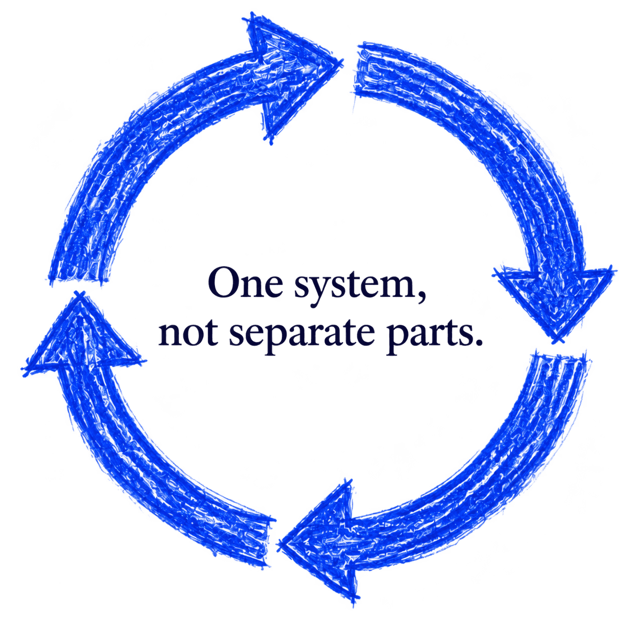 Circular cycle illustrating one system, not separate parts